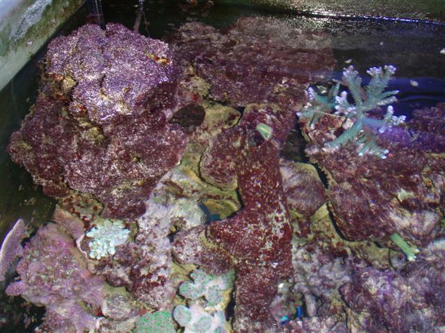 P3233798 (Small).JPG