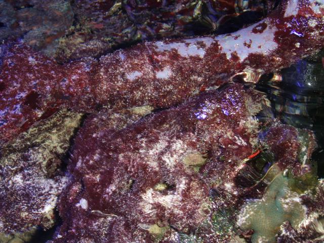 P3233797 (Small).JPG