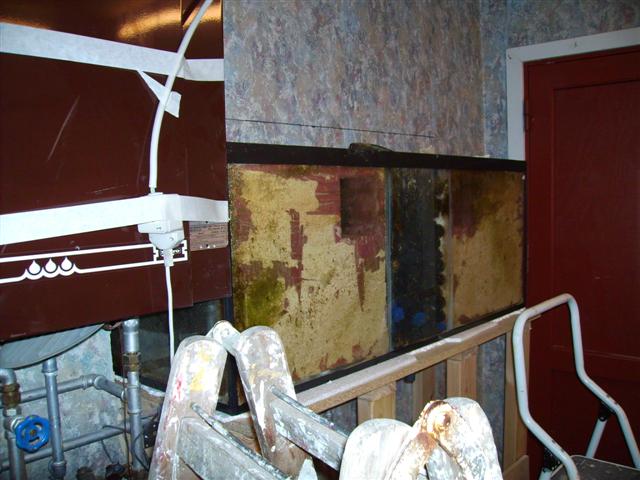 PICT0169 (Small).JPG