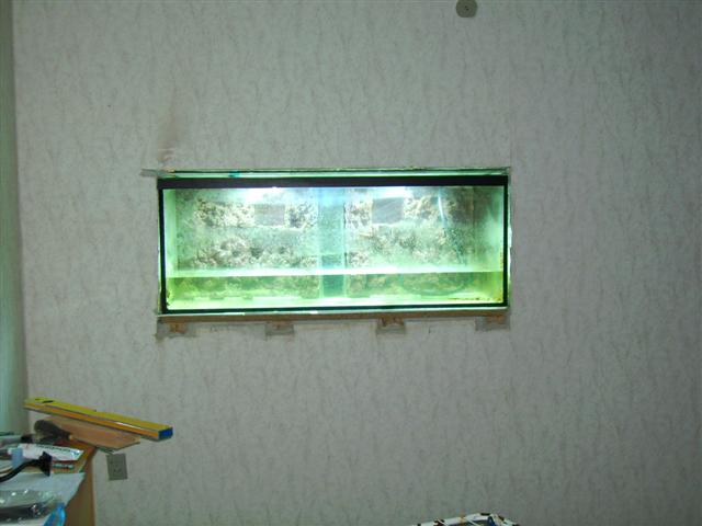 PICT0170 (Small).JPG