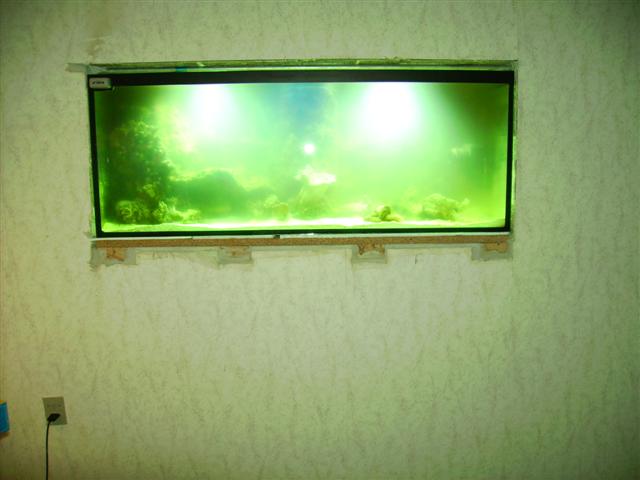 PICT0171 (Small).JPG