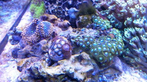 IMAG0921.jpg