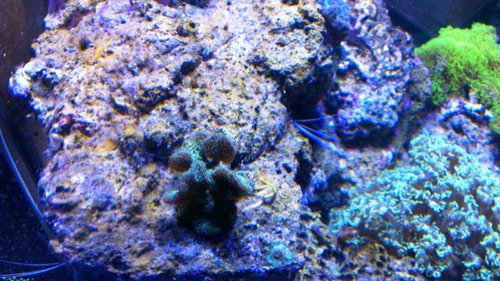 IMAG0922.jpg