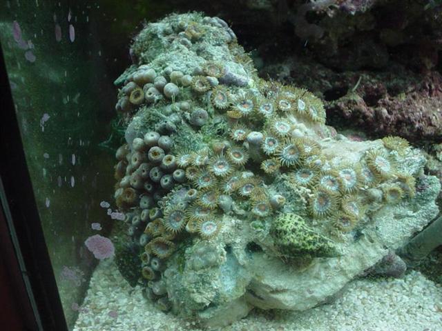 DSC00185 (Medium).JPG