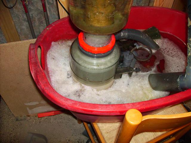 PICT0175 (Small).JPG