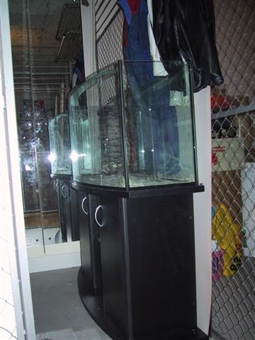 IMG_0115 (Small).JPG