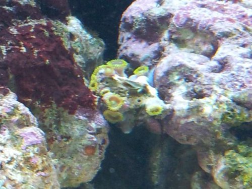 20130220_171724.jpg