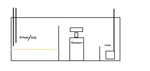 sump 1.jpg