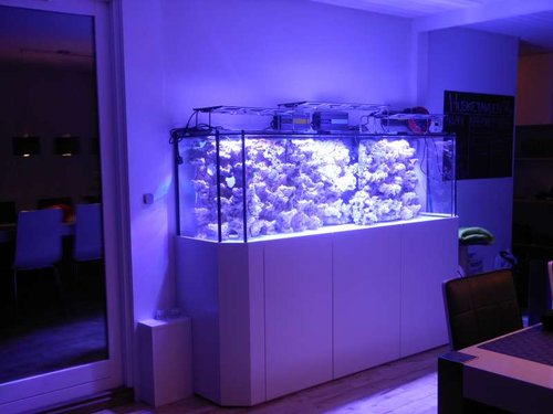 DSCN1536.JPG