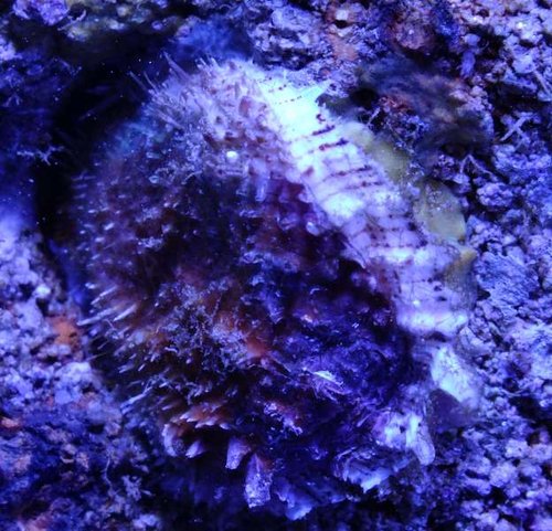 DSCF8367.jpg