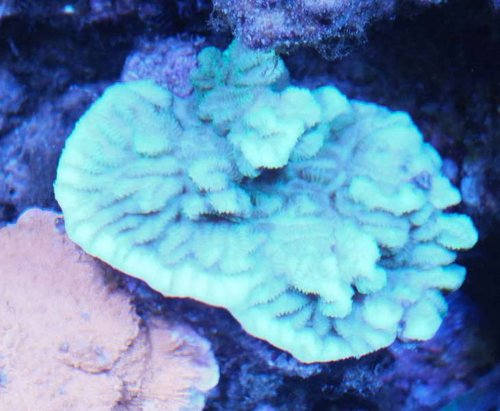 DSCF8379.jpg