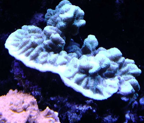 DSCF8374.jpg