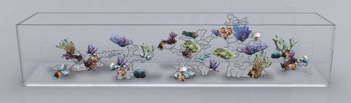 Tank%20with%20rocks%20and%20corals.jpg