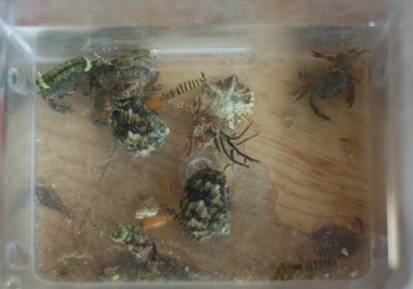 Og et billede af det hele.