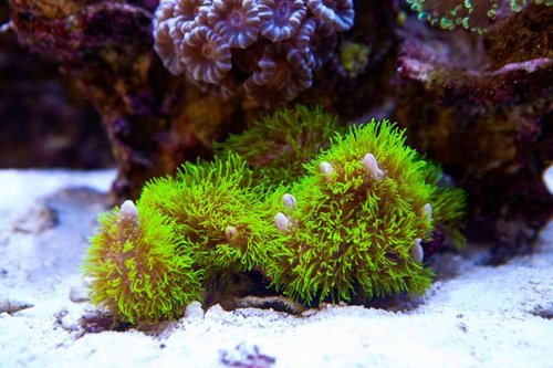 1 marts (4 of 44).jpg
