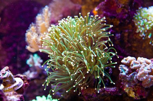1 marts (5 of 44).jpg