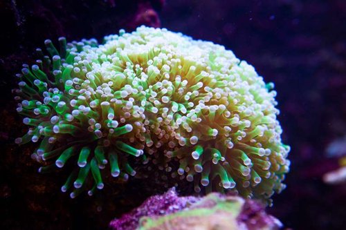 1 marts (14 of 44).jpg