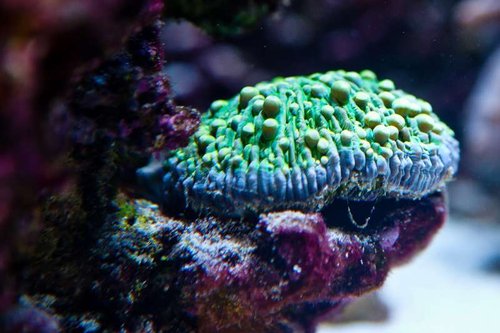 1 marts (32 of 44).jpg
