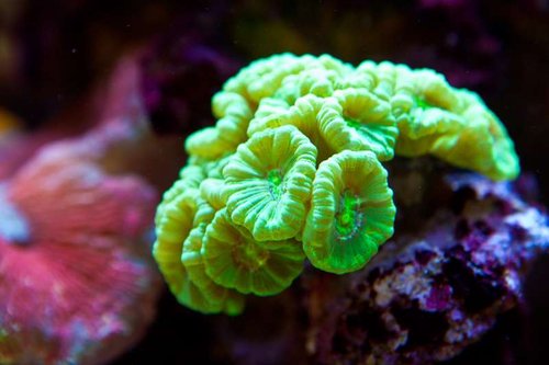 1 marts (35 of 44).jpg