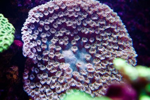 1 marts (39 of 44).jpg