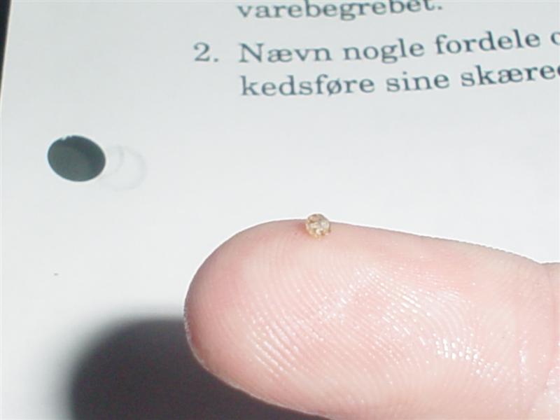 DSC00156 (Medium).JPG