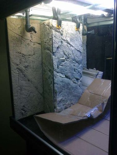 IMAG0936.jpg