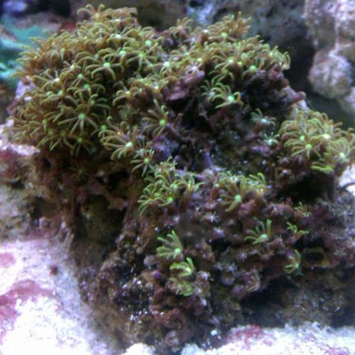 IMAG0404.jpg