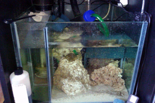IMAG0411.jpg