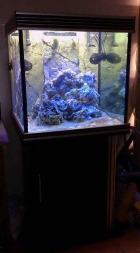IMAG0111.jpg