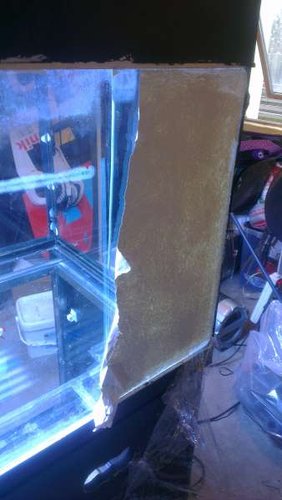 IMAG0149.jpg (22.84 KiB) Vist 4807 gange Den gamle maling på bagglasset var hvid, denne blev skrabet af og en fin Royal Blue blev malet på efterfølgende.