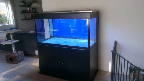 IMAG0270.jpg (24.97 KiB) Vist 4901 gange Så kom hele herligheden endelig ind i stuen hvor mit gamle 530'er malawi akvaruin stop ind til for 2 dage siden :) det her pynter meget mere, selvom det er tomt ;)