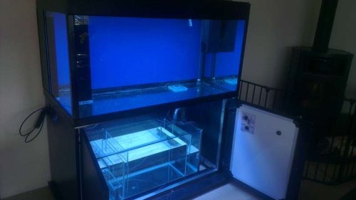 IMAG0285.jpg (22.02 KiB) Vist 4899 gange Der er lavet overløb og det hele er testet endnu engang, overløbet er lavet af 8mm sort glas, dog har jeg idag valgt at lave et par "covers" til overkløbet med et par glas plader i samme mål som overløbet, på dem er lavet et par små udhæng af døde ls og der er drysset knust døde ls ud over resten af glas pladerne som var smurt ind i PU lim. se nederstående billeder :)