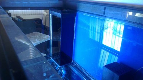 IMAG0315.jpg (31.23 KiB) Vist 4711 gange Overløb før DIY skjul :) 09.03.2013