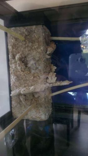 IMAG0326.jpg (17.39 KiB) Vist 4873 gange Lige et mere. 09.03.2013