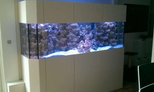 IMAG0044.jpg
