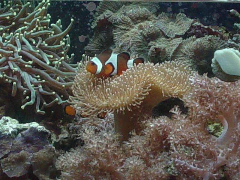 DSC00216 (Medium).JPG