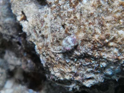 2013-03-18 18.17.43.jpg