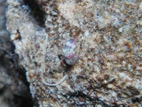 2013-03-18 18.17.57.jpg