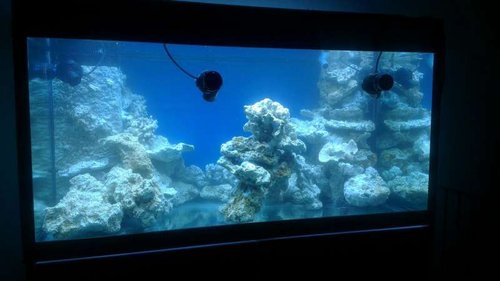 Så fik jeg hældt 650 liter vand og tilsat knapt 20 kg Dejong marinelife salt. Alle værdier spiller max som forskrevet på spanden.
