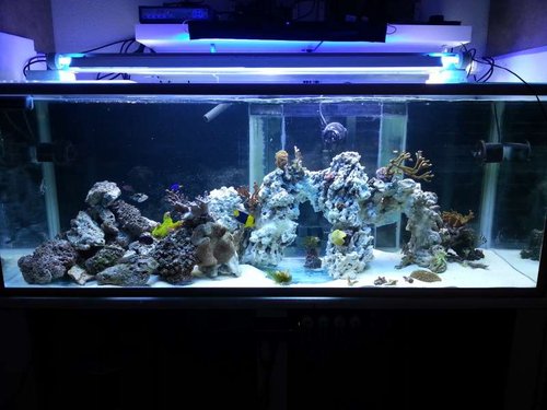 FTS
