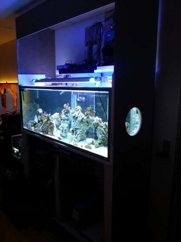 2013-03-18 20.00.13.jpg
