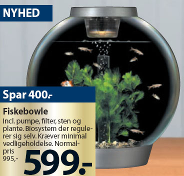 fiskebowle.jpg