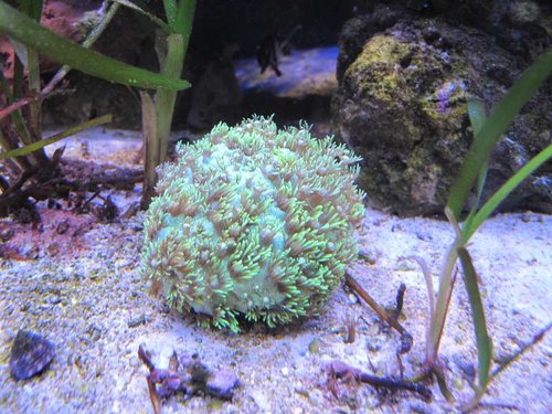 IMG_1094.JPG