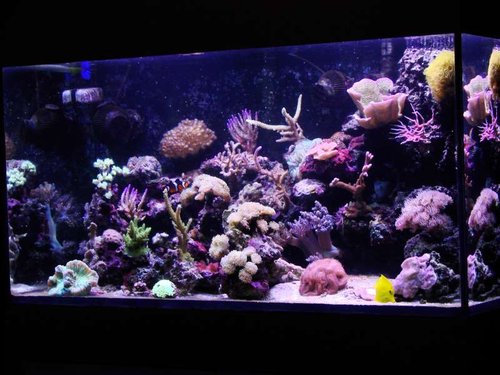 FTS.JPG (59.1 KiB) Vist 1748 gange Syntes aldrig jeg er tilfredst med de FTS jeg tager men her er et alligevel :)