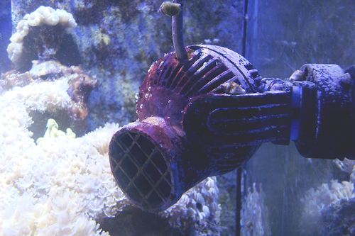 DSC05178-Lille.png (673.31 KiB) Vist 929 gange Full shot