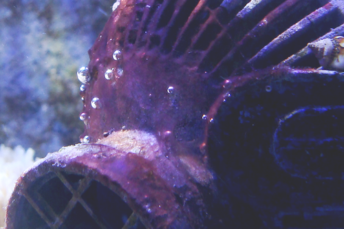 DSC05178-LilleCrop.png (531.72 KiB) Vist 929 gange Crop