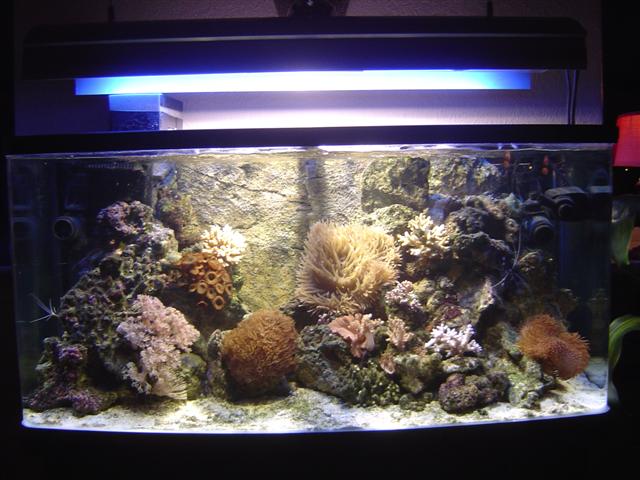 DSC04096 (Small).JPG
