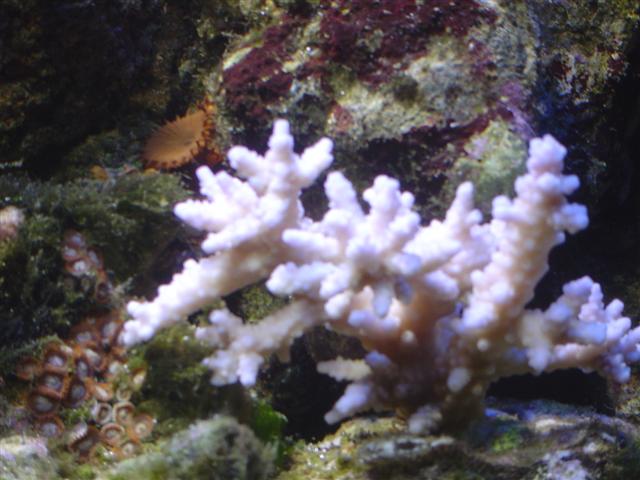 DSC04094 (Small).JPG