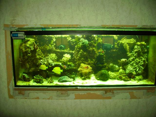 PICT0177 (Small).JPG