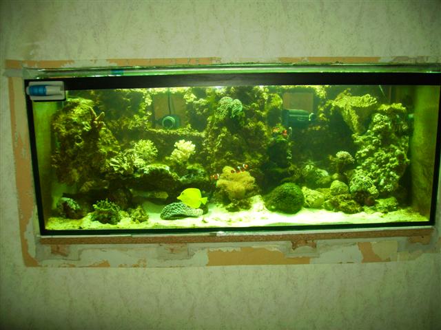 PICT0176 (Small).JPG